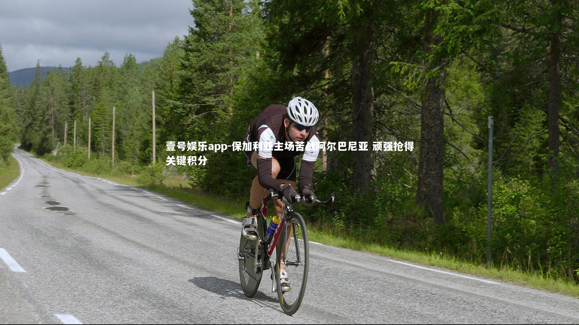 保加利亚主场苦战阿尔巴尼亚 顽强抢得关键积分